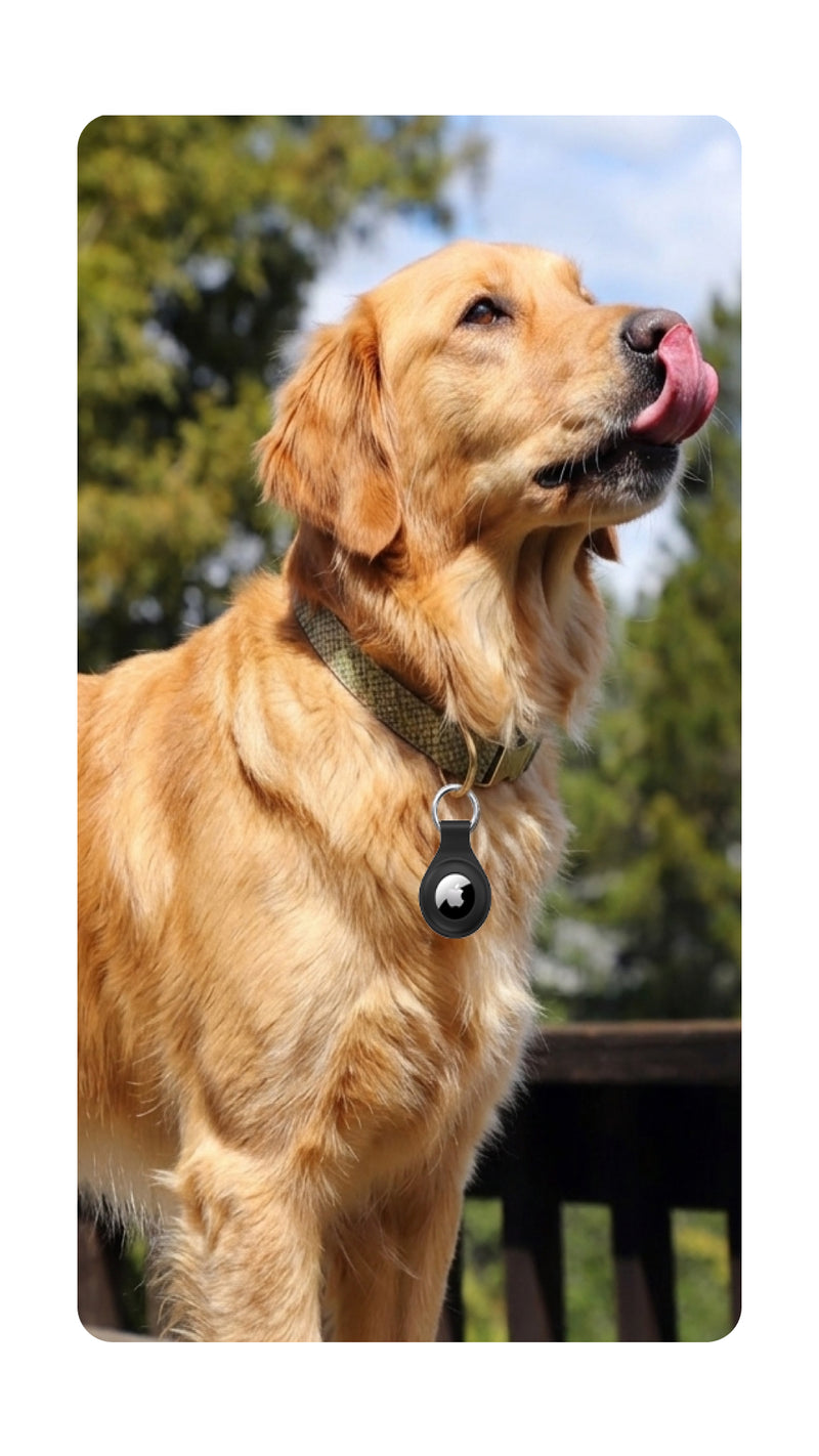 For pets - Mobile view