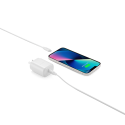 20W USB-C Wall Charger + 1.2M Lightning to USB-C Cable - Cygnett (AU)