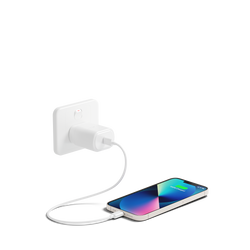 20W USB-C Wall Charger + 1.2M Lightning to USB-C Cable - Cygnett (AU)