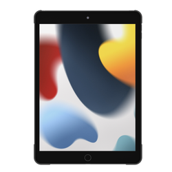 Clear Case for iPad (10.2") - Cygnett (AU)