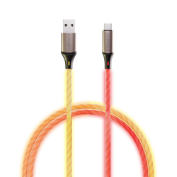 USB-C to USB-A 1.2m Light Up Cable - Cygnett (AU)