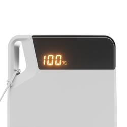 20W Power Bank with USB-C Lanyard Cable 20K